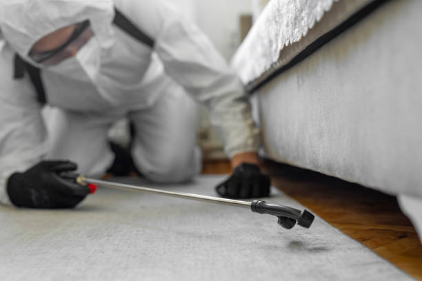 Professional Termite Control technician working in Mattoon, IL