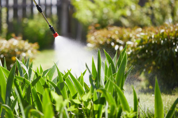 24/7 Emergency Termite Control experts in Mattoon, IL