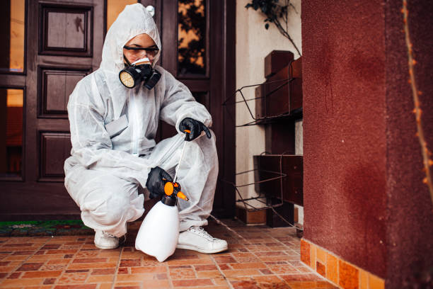 Reliable Termite Control contractor in Mattoon, IL by Nex Pest Control